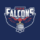 ŽKK Falcons